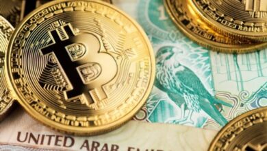 دولة عربية ترخص رسميا للعملات الرقمية