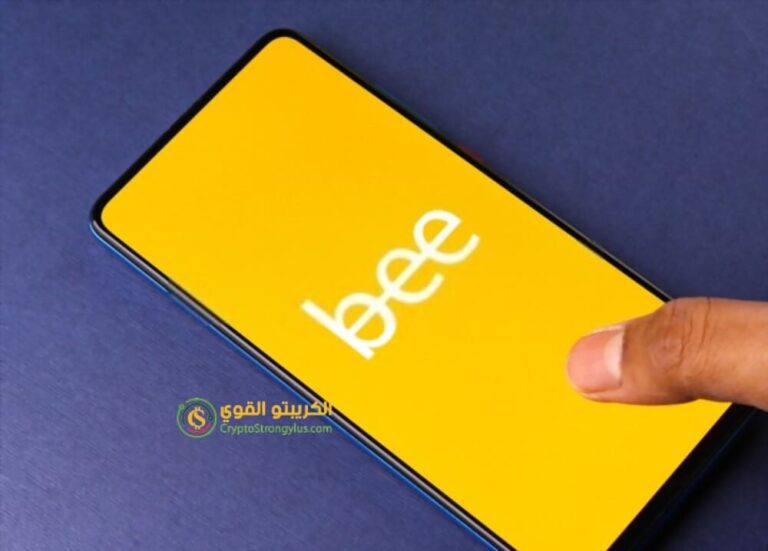 مستقبل عملة bee
