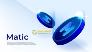 عملة ماتيك Polygon (MATIC)