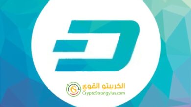 عملة داش Dash