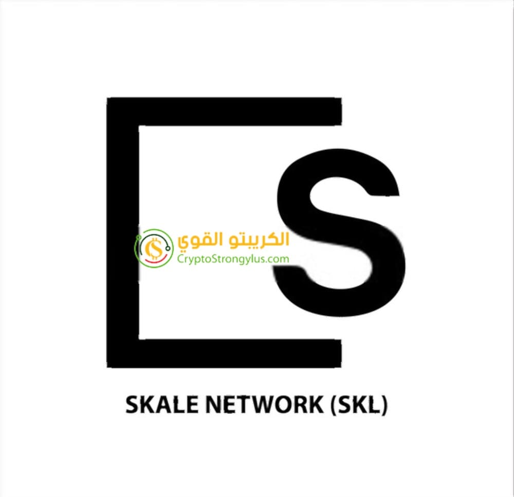 عملة SKL رمز SKALE Network