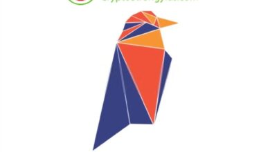عملة RVN رمز Ravencoin