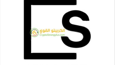 عملة SKL رمز SKALE Network
