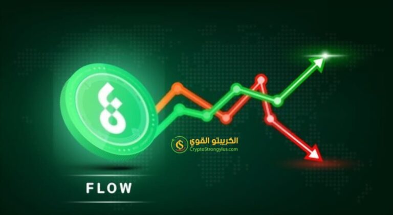مشروع عملة flow