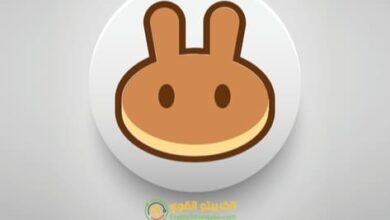 عملة CAKE رمز PancakeSwap