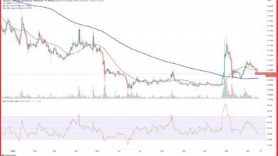 مستقبل سعر عملة دوج كوين