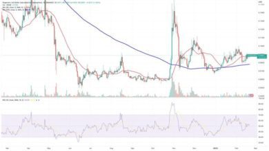 مستقبل عملة دوج كوين Dogecoin