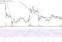 توقع سعر ريبل