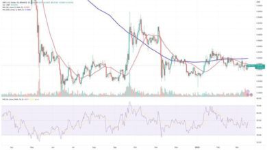 توقع سعر ريبل