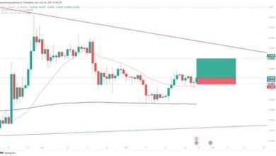 توقع سعر XRP معنويات Garlinghouse تدفع السعر