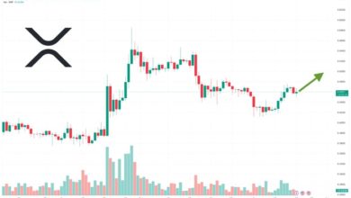 توقعات سعر XRP دعوى قضائية