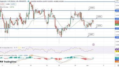 توقع سعر Dogecoin مع بدء