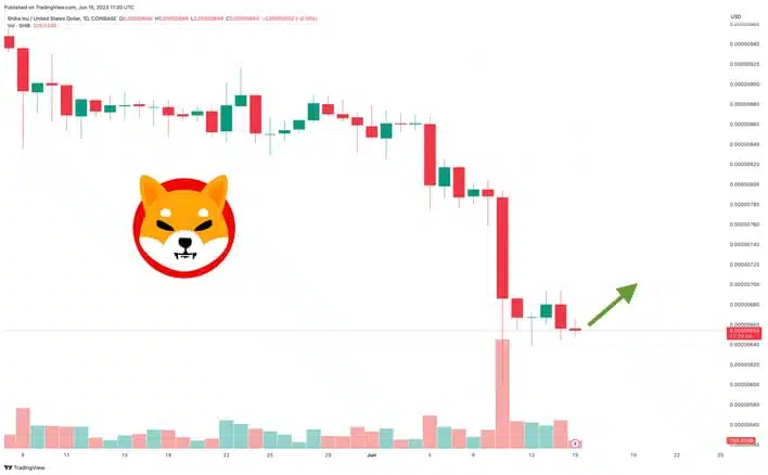 توقع سعر Shiba Inu حيث