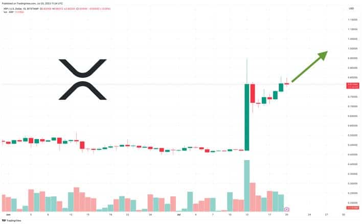 ارتفاع سعر XRP بنسبة 8٪