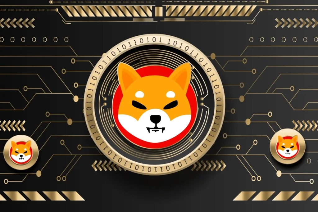 shiba