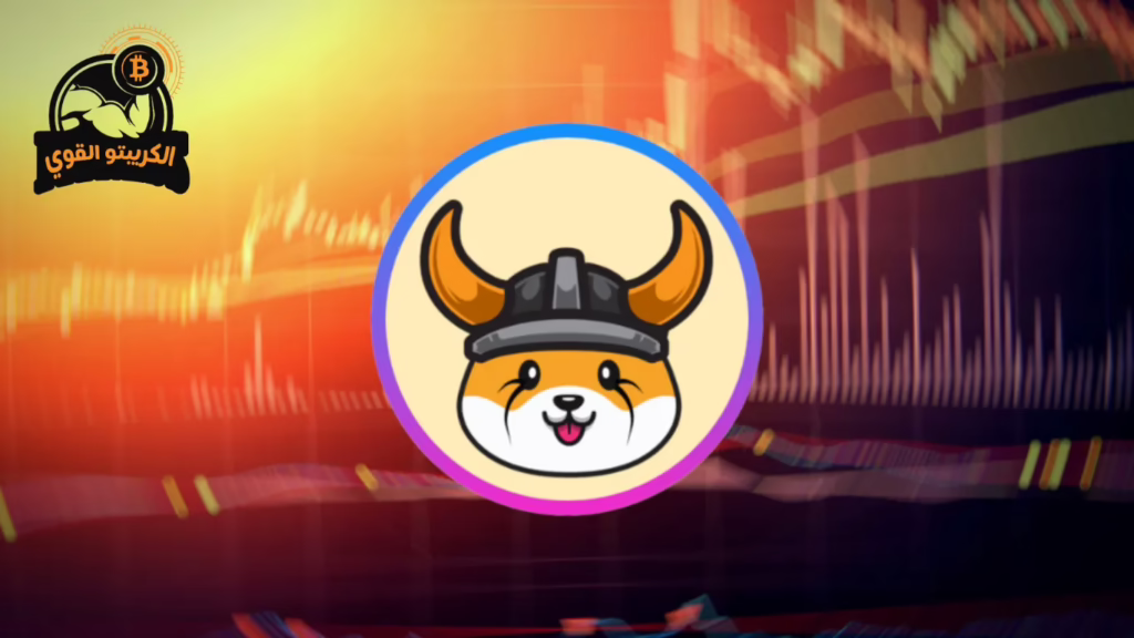 شراء عملة فلوكي